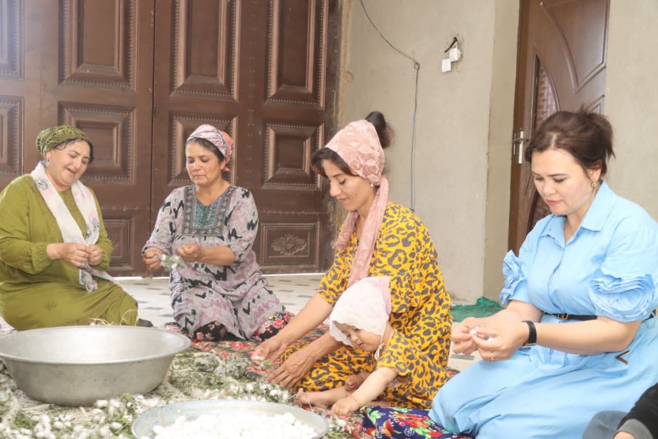 Пиллакорларларнинг баҳорги хирмонлари тўлмоқда