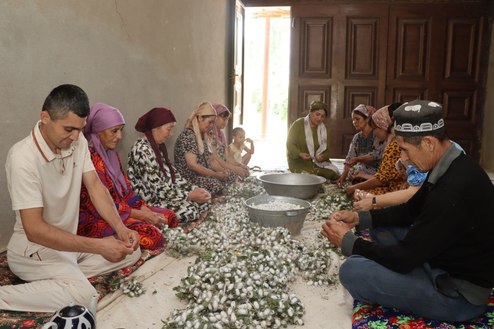 Пиллакорларларнинг баҳорги хирмонлари тўлмоқда