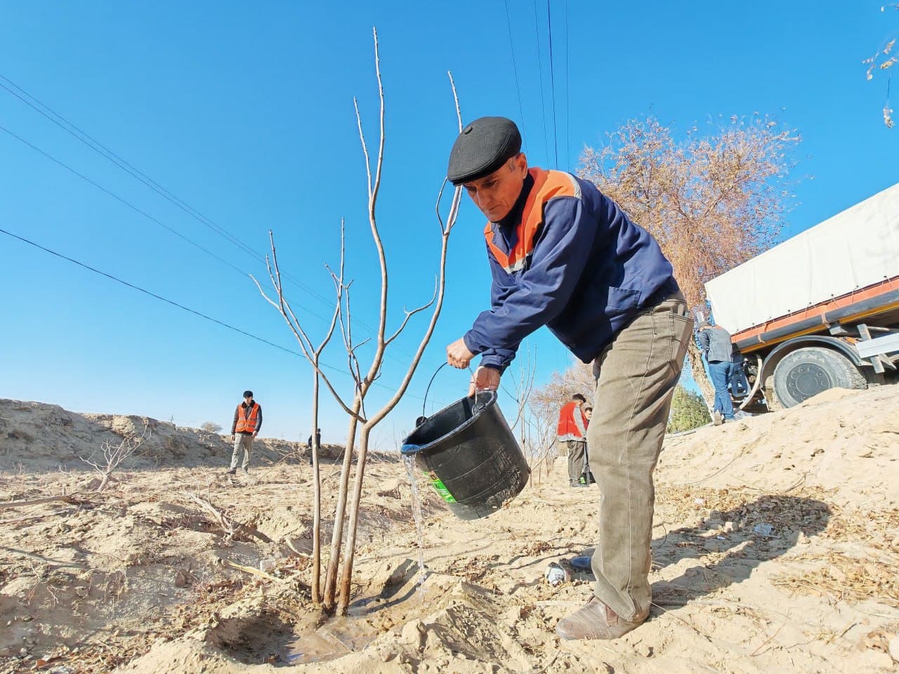Yo‘l bo‘ylarida yashil hududlar kengaymoqda