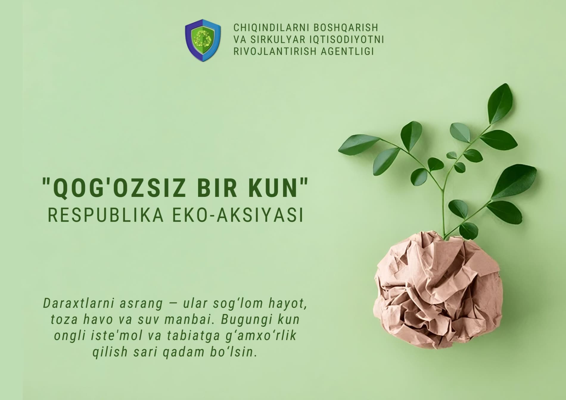 “Qog‘ozsiz bir kun”: Har bir varaq — bir daraxtning nafasidir!