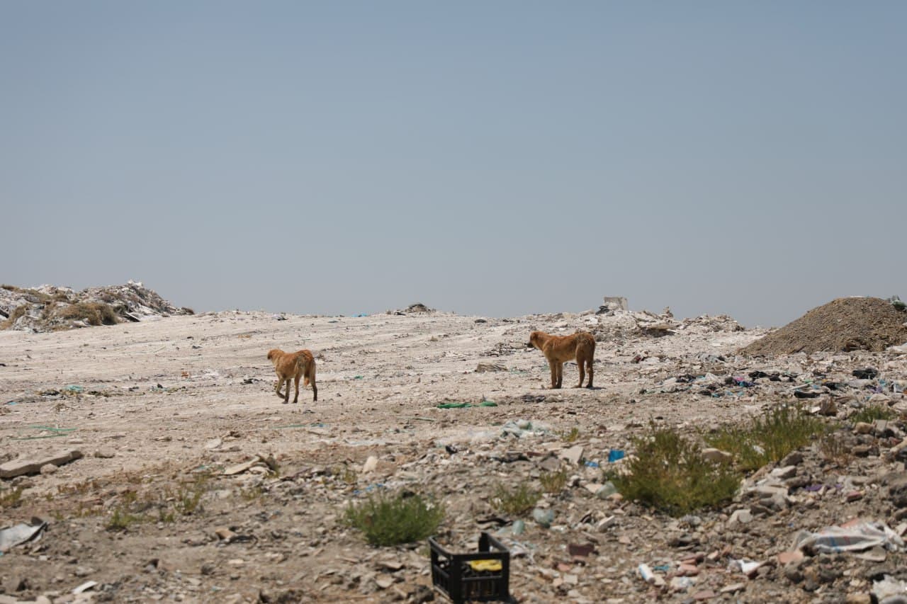 42 Municipal Waste Landfills Closed in Uzbekistan and Land Returned to Nature