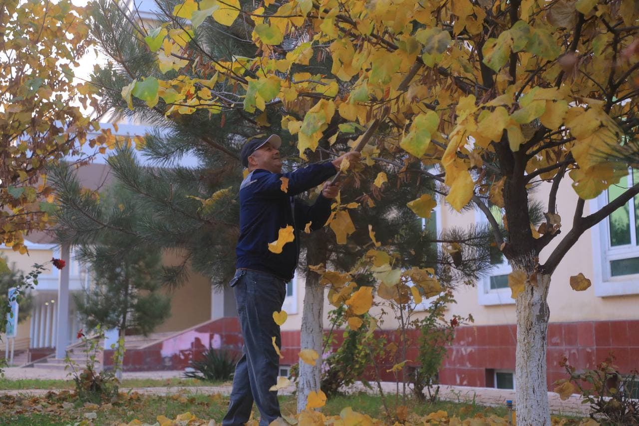 Tozalik oyligining dastlabki o‘n besh kunida hududlar 243 ming tonna chiqindidan tozalandi