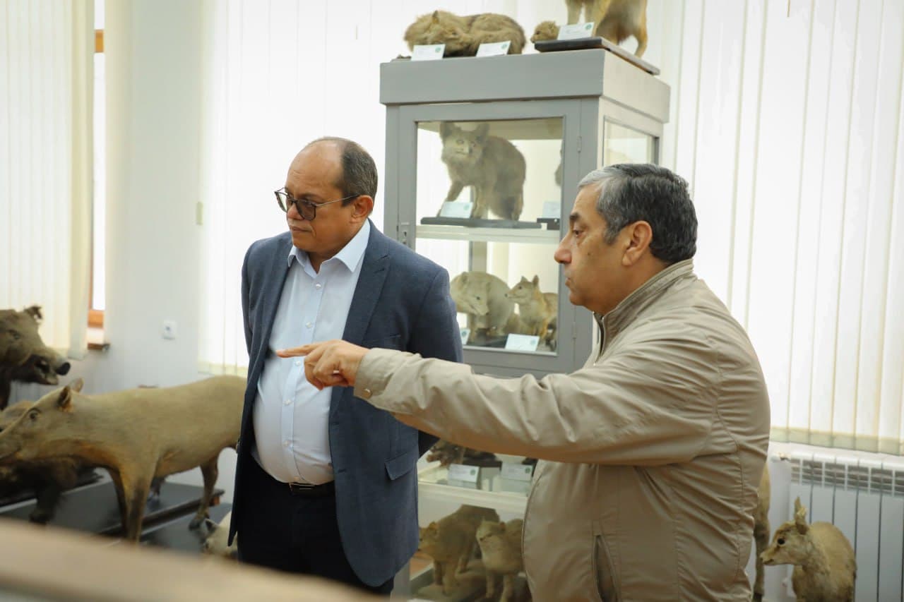 Участникам CITES CoP20 представили экологический потенциал СамГУ