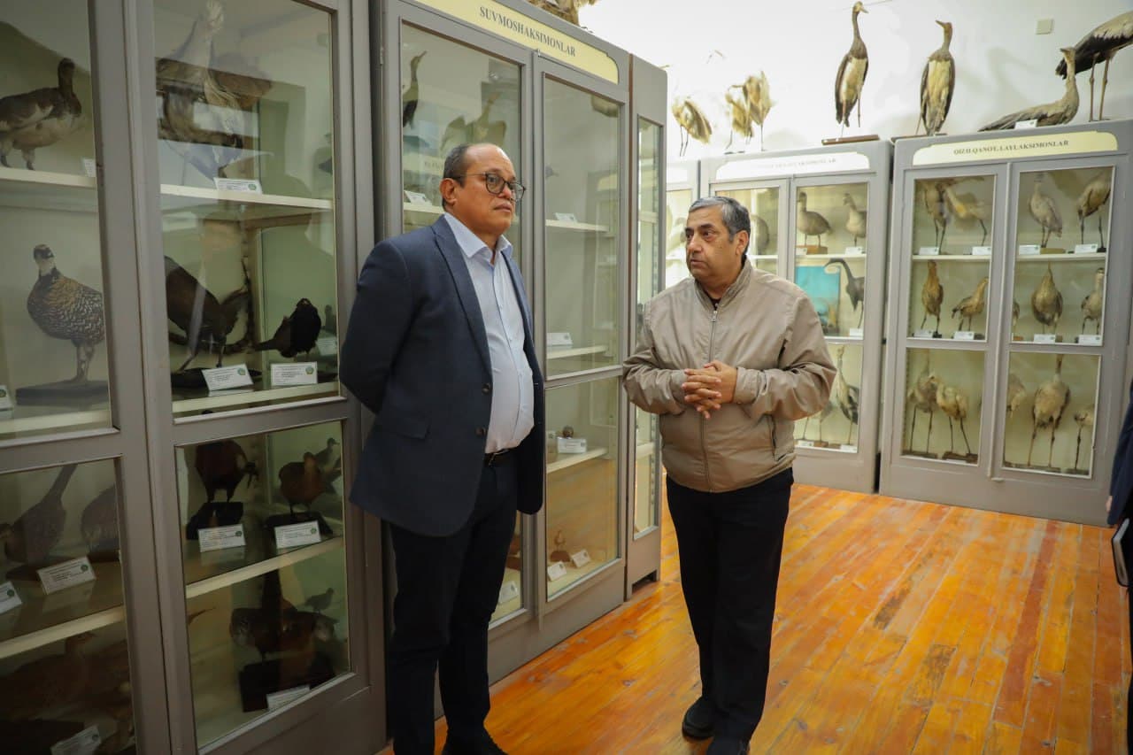 Участникам CITES CoP20 представили экологический потенциал СамГУ