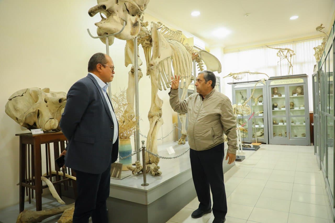 Участникам CITES CoP20 представили экологический потенциал СамГУ