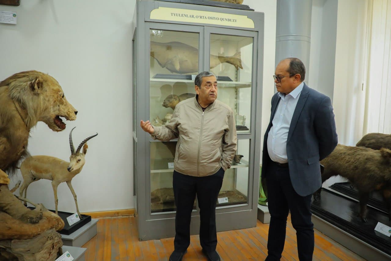 Участникам CITES CoP20 представили экологический потенциал СамГУ