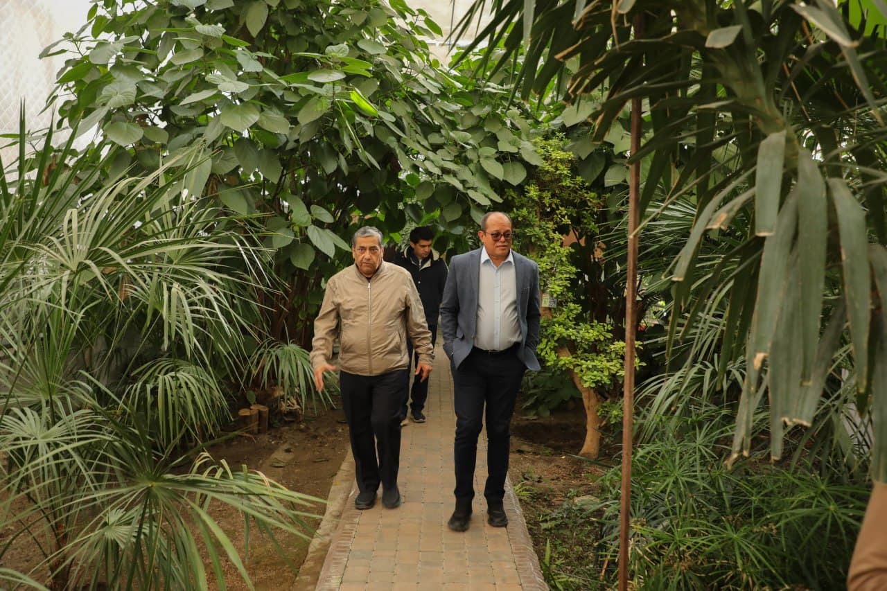 Участникам CITES CoP20 представили экологический потенциал СамГУ