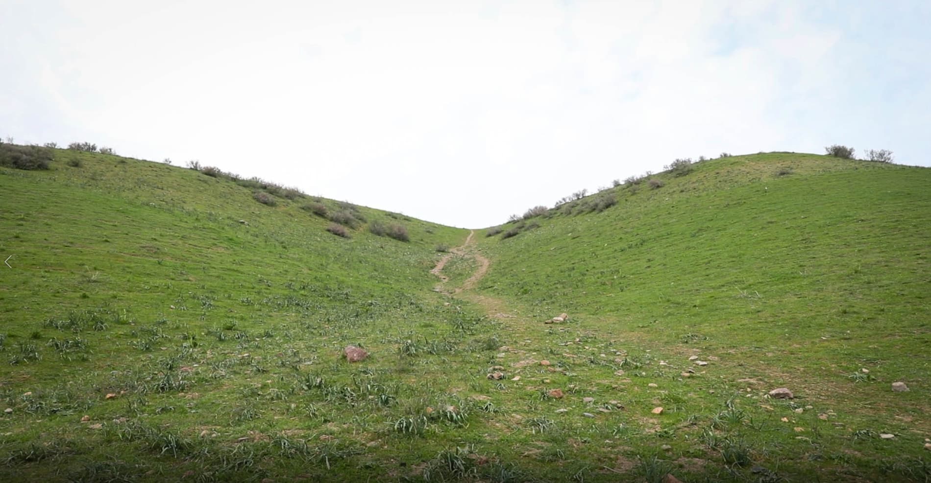 По всей республике определённые территории были очищены почти от 98 тонн отходов