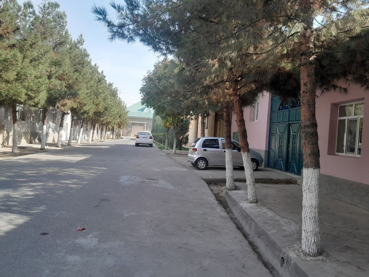 Raddiya