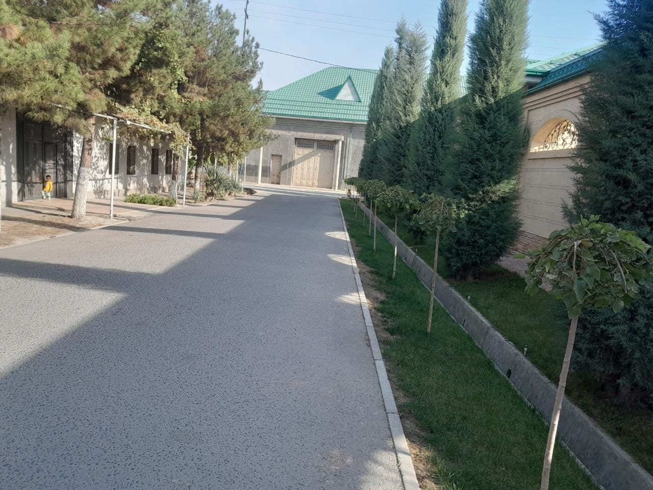 Raddiya