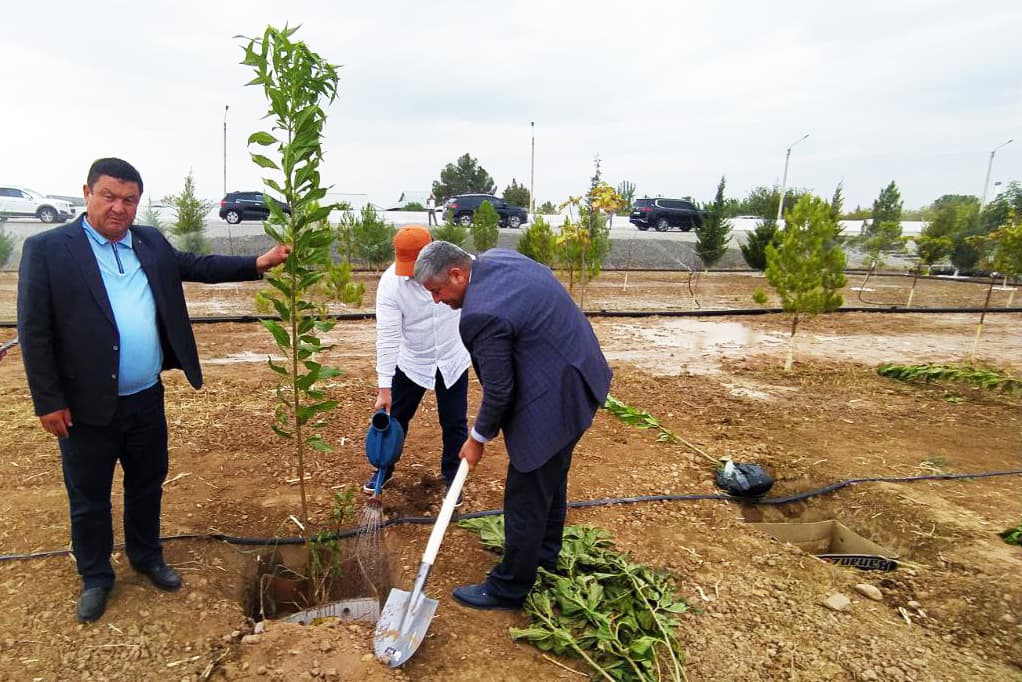 DARAXT SUVSIZ KO‘KARMAYDI