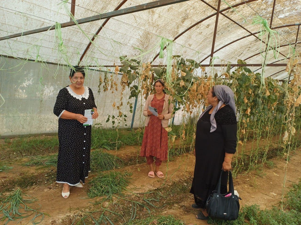 ТОМОРҚА ЭГАЛАРИ ЎРТАСИДА ТАРҒИБОТ ОЛИБ БОРИЛДИ