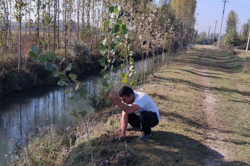 ЯШИЛ БЕЛБОҒ ЭКО АКЦИЯСИ ДАВОМ ЭТМОҚДА