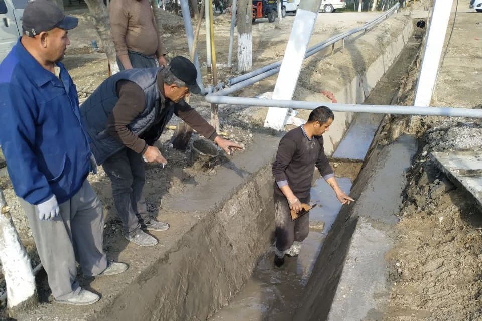 QIZILTEPA TUMANIDA KUZGI-QISHKI TADBIRLAR DAVOM ETMOQDA