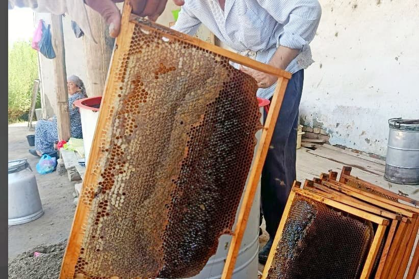 Меҳнат ва ташаббусдан яралган барака