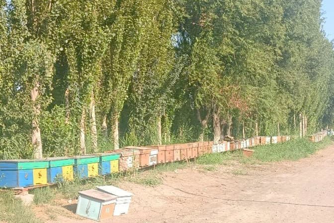 Меҳнат ва ташаббусдан яралган барака