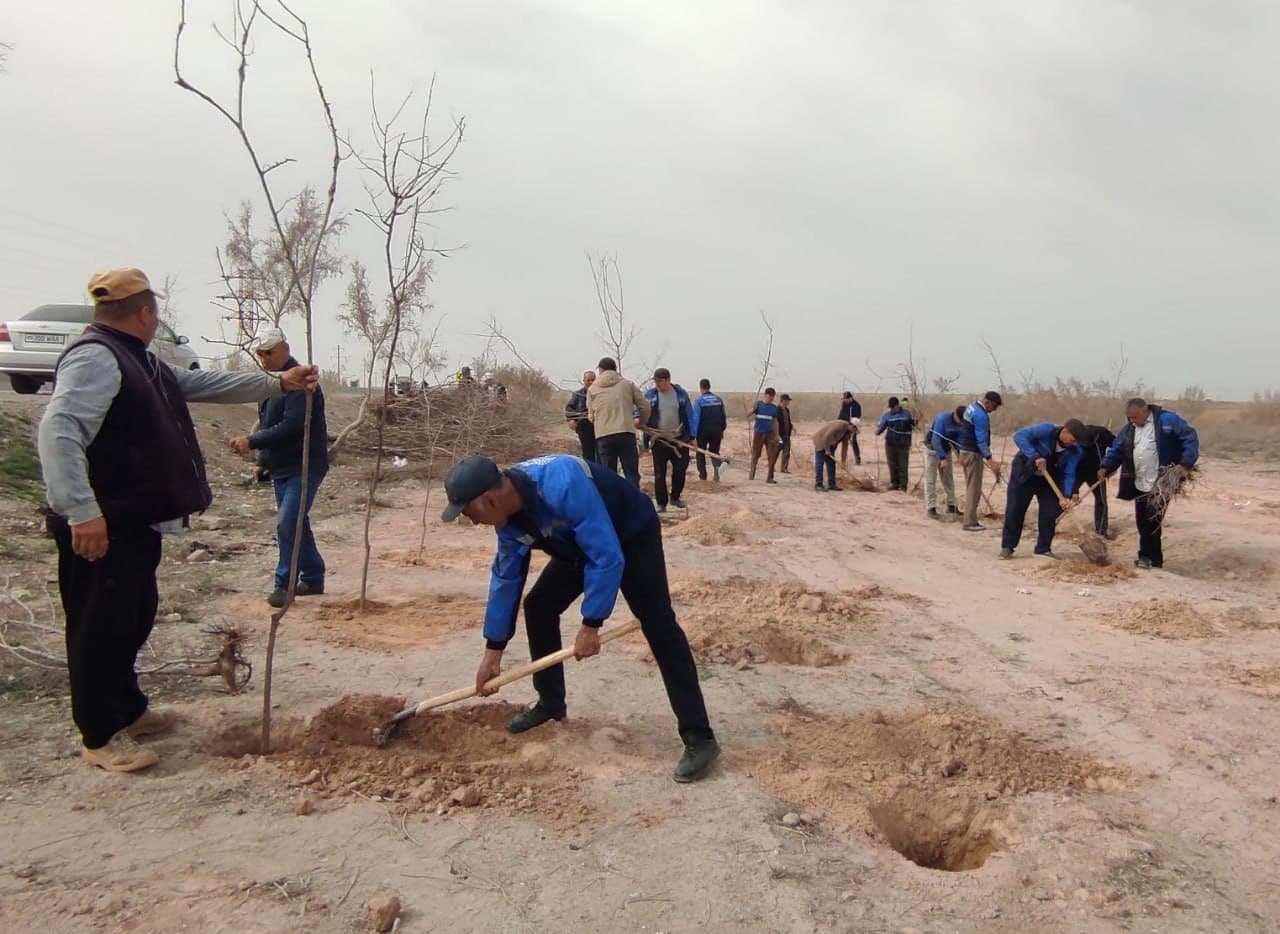 “Yashil makon” – barhqaror ekologik muhit sari muhim qadam