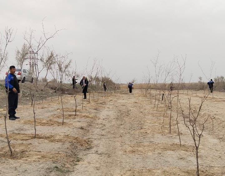 “Yashil makon” – barhqaror ekologik muhit sari muhim qadam