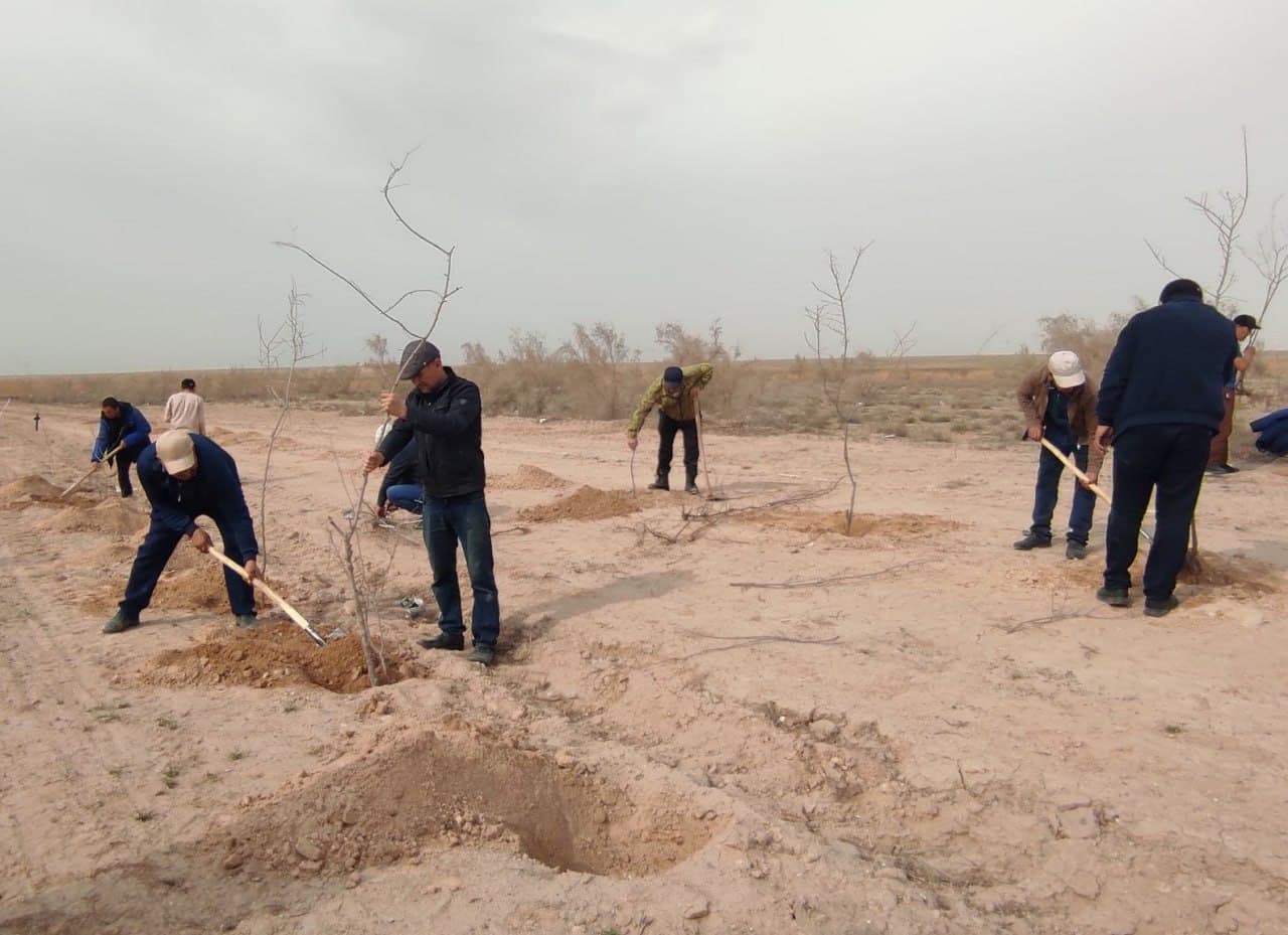 “Yashil makon” – barhqaror ekologik muhit sari muhim qadam