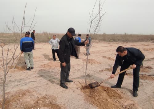 “Yashil makon” – barhqaror ekologik muhit sari muhim qadam