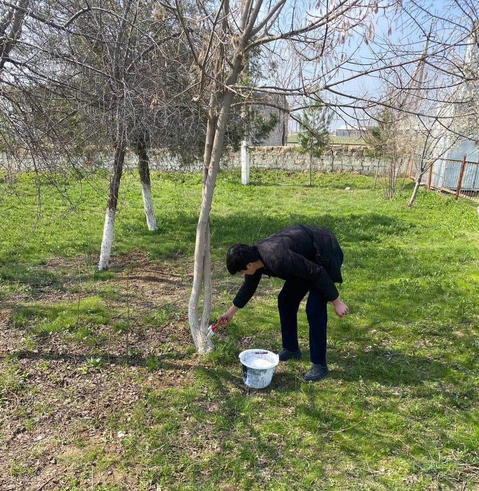 Tizim xodimlari ham hasharda faol ishtirok etmoqda