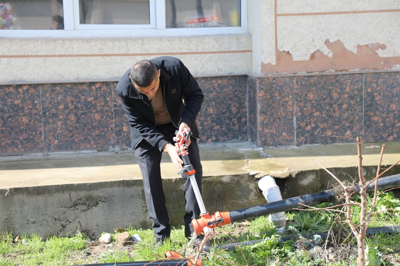 🌿 Hashar — obodlik va hamjihatlik timsoli