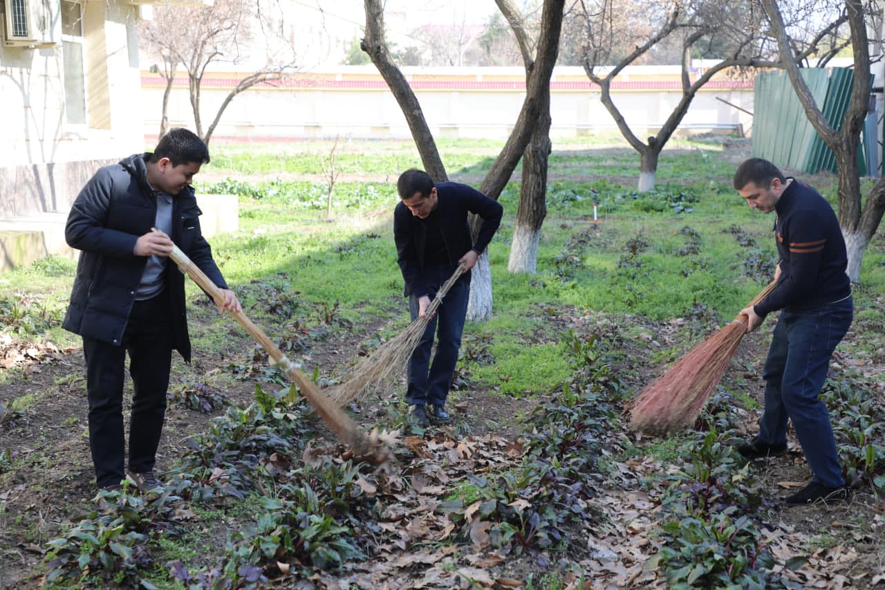 🌿 Hashar — obodlik va hamjihatlik timsoli