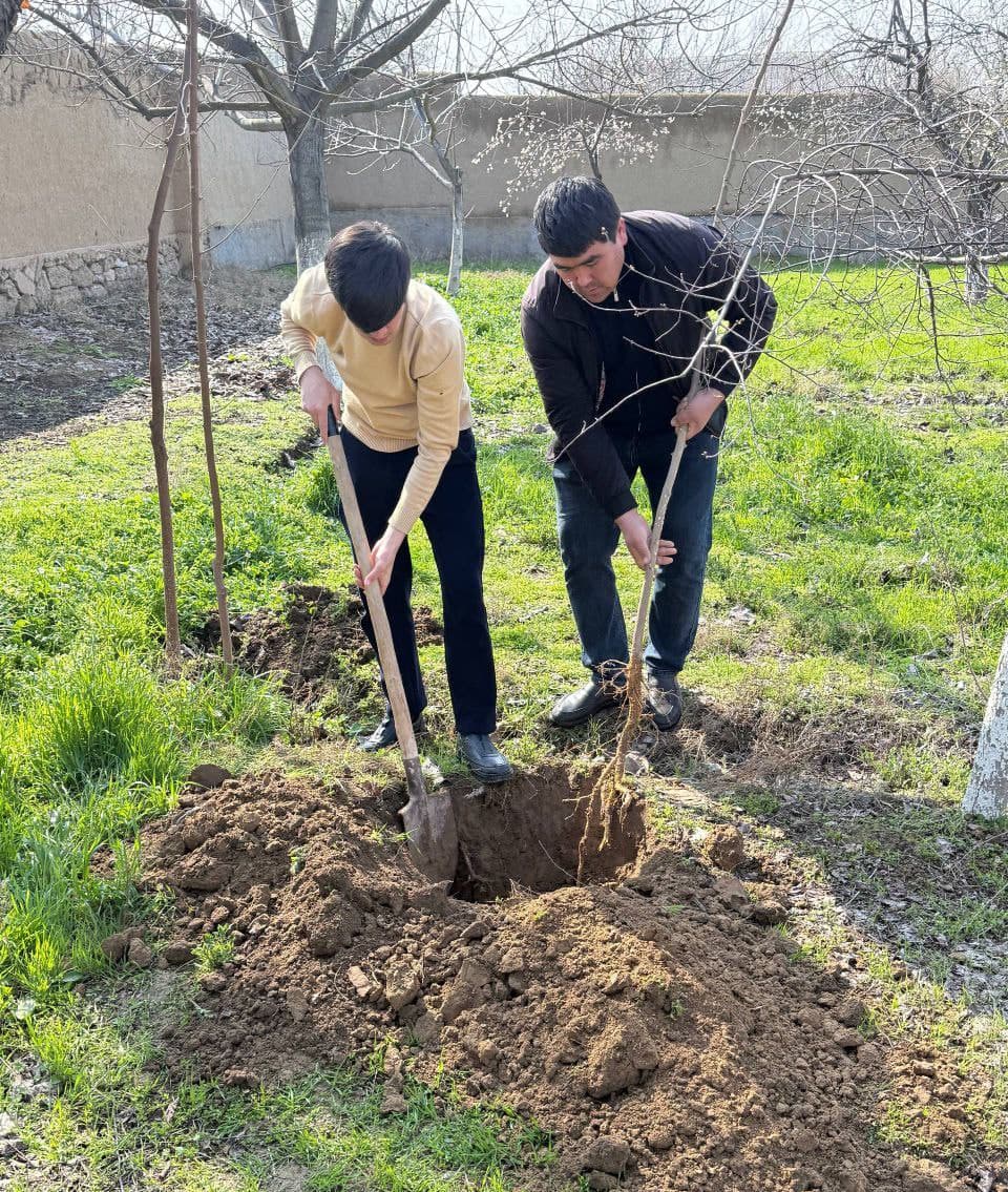 Tizim xodimlari ham hasharda faol ishtirok etmoqda