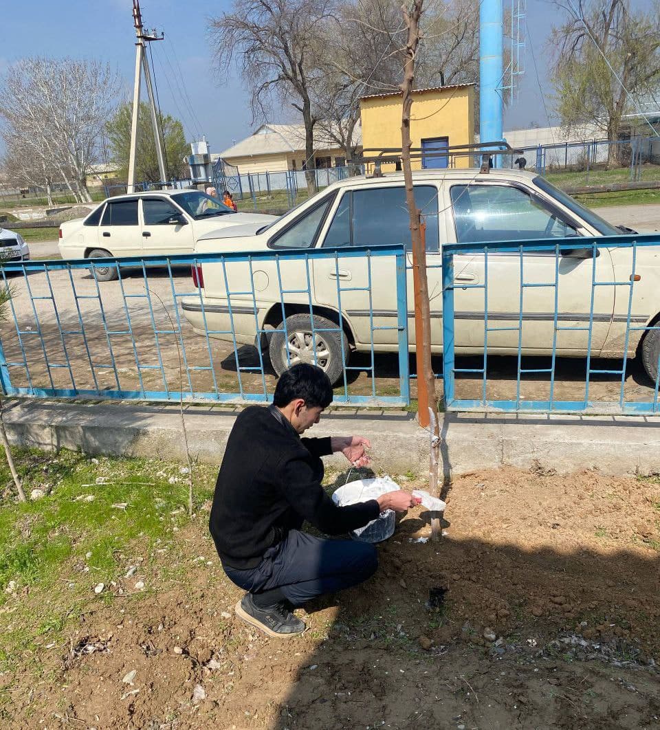 Tizim xodimlari ham hasharda faol ishtirok etmoqda