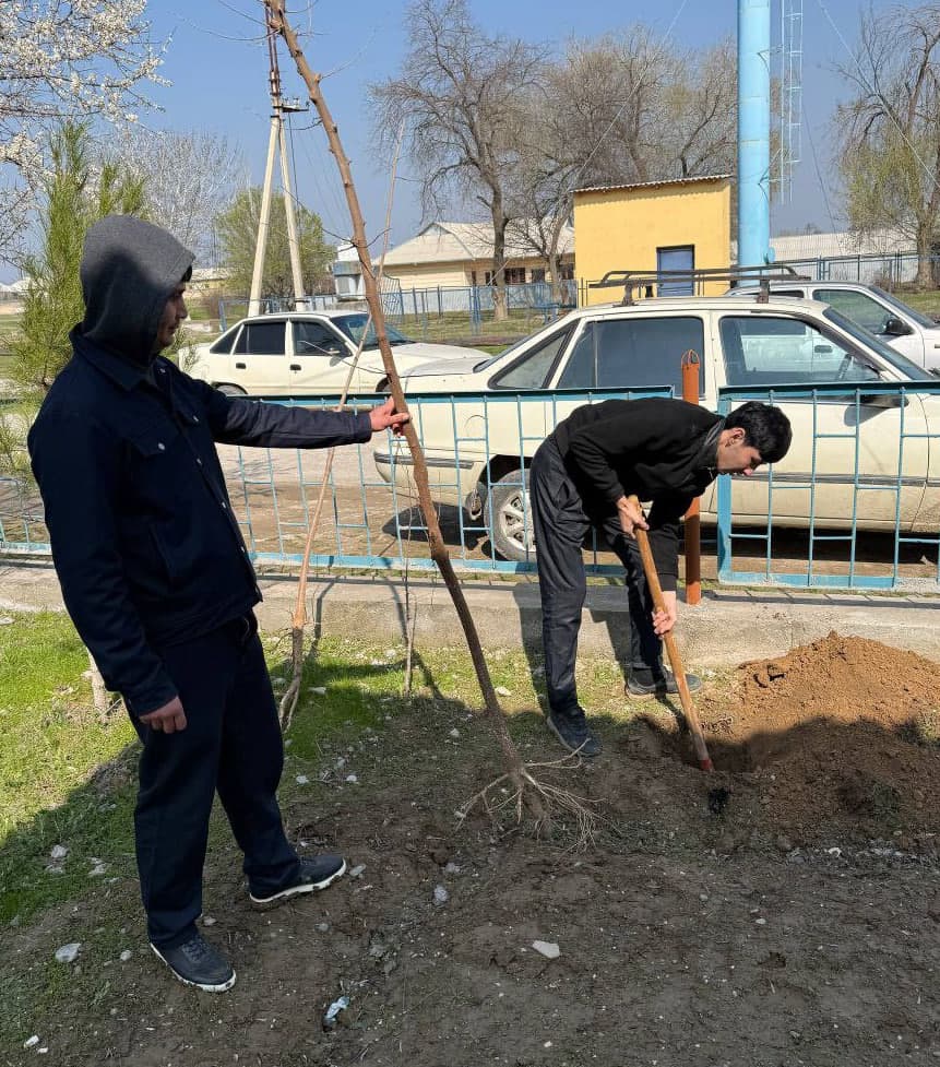 Tizim xodimlari ham hasharda faol ishtirok etmoqda
