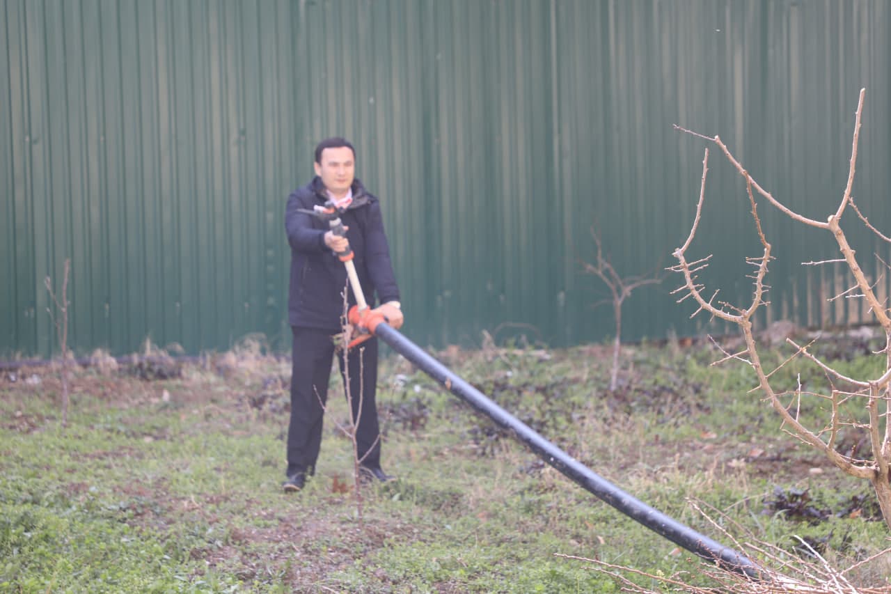 🌿 Hashar — obodlik va hamjihatlik timsoli