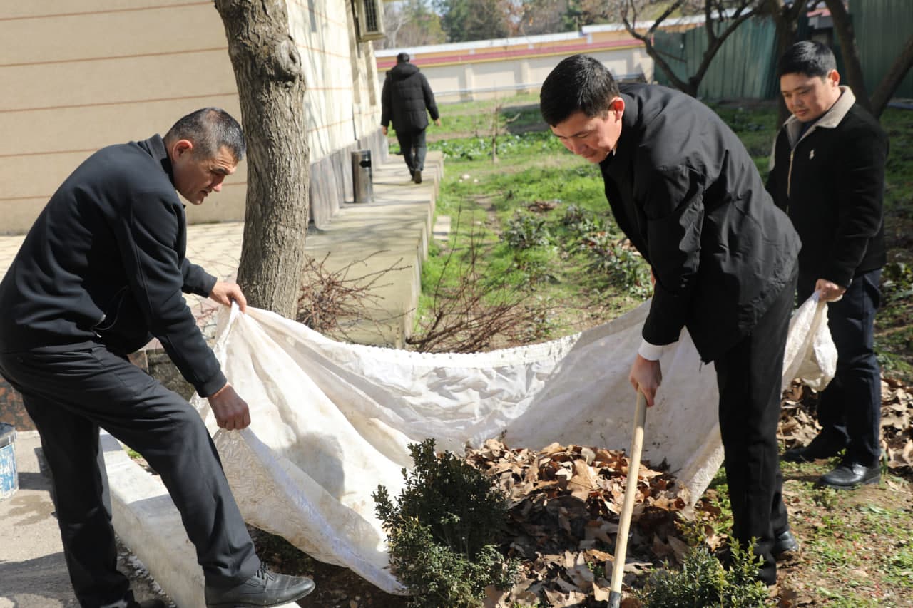 🌿 Hashar — obodlik va hamjihatlik timsoli