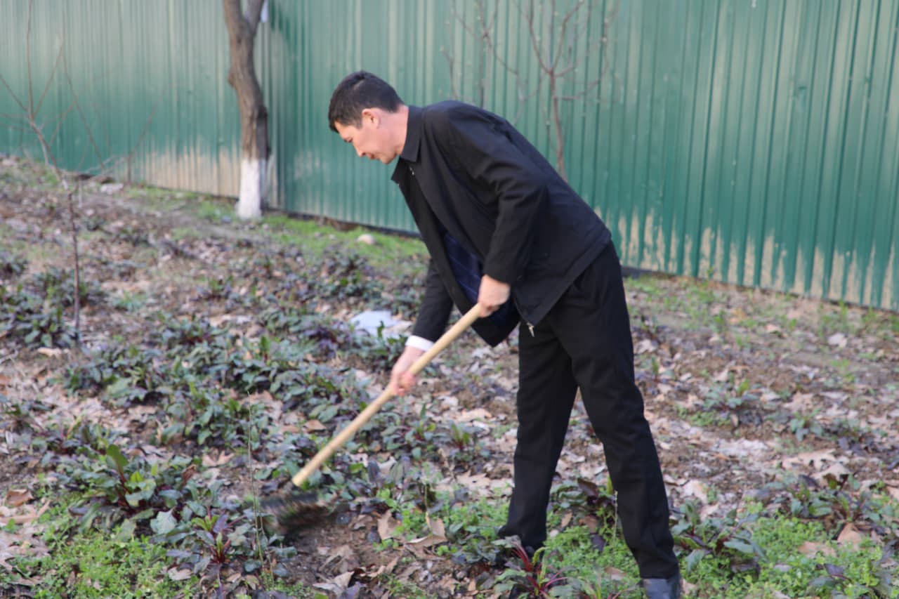 🌿 Hashar — obodlik va hamjihatlik timsoli