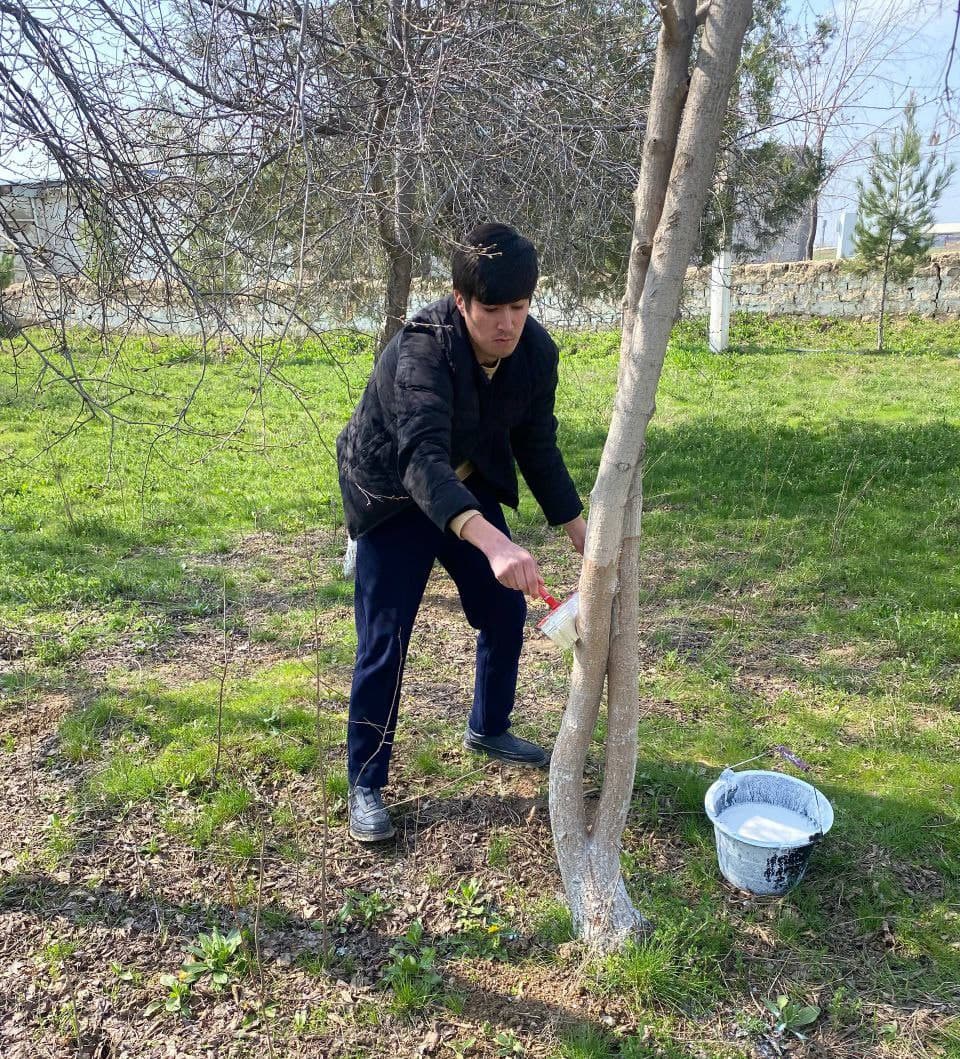 Tizim xodimlari ham hasharda faol ishtirok etmoqda