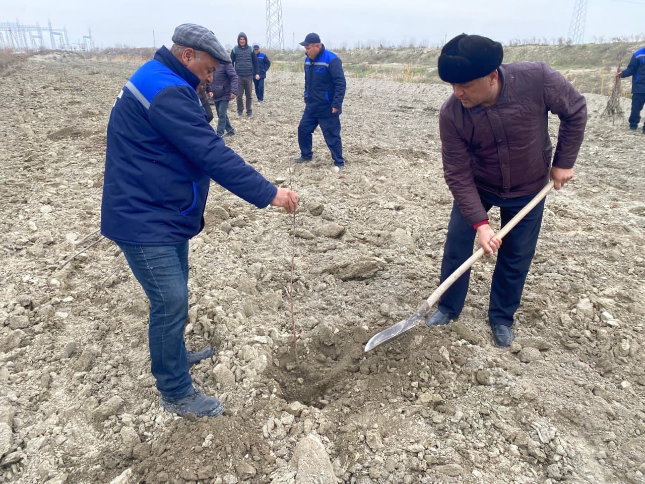 Navbahorda “Oq devor irmoq” kollektori bo‘yida yashil bog‘ barpo etildi