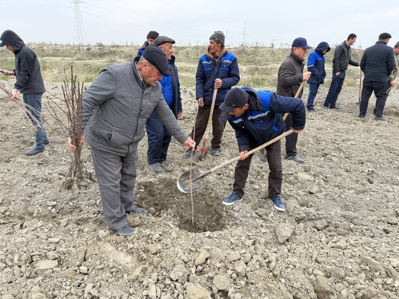 Navbahorda “Oq devor irmoq” kollektori bo‘yida yashil bog‘ barpo etildi
