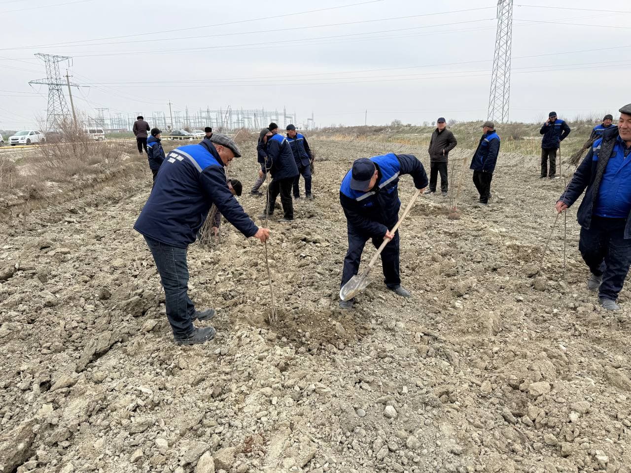 Navbahorda “Oq devor irmoq” kollektori bo‘yida yashil bog‘ barpo etildi