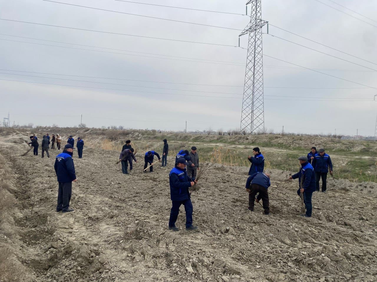 Navbahorda “Oq devor irmoq” kollektori bo‘yida yashil bog‘ barpo etildi