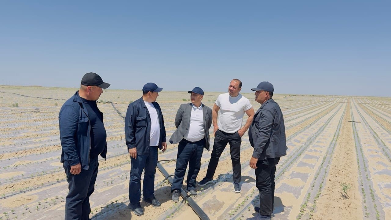 Qashqadaryoda prezident qarori ijrosi amalda: Mas’ullar hududlardagi ishlar bilan tanishdi
