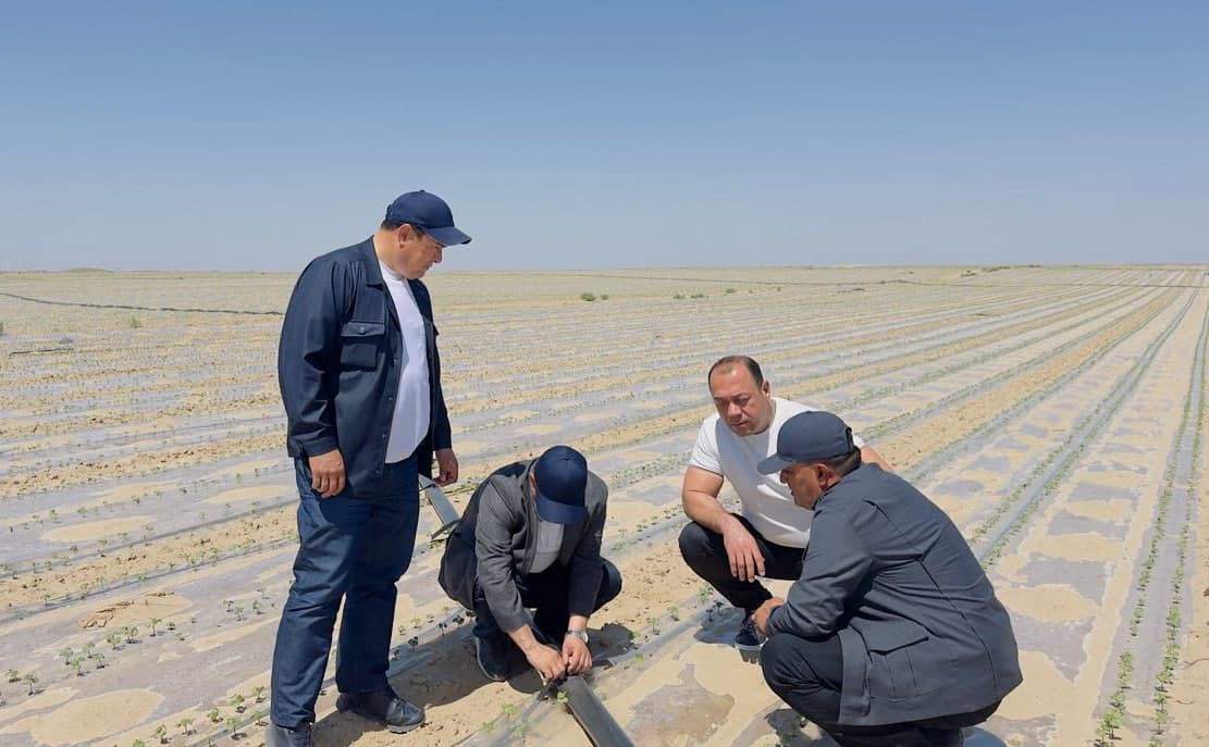 Qashqadaryoda prezident qarori ijrosi amalda: Mas’ullar hududlardagi ishlar bilan tanishdi