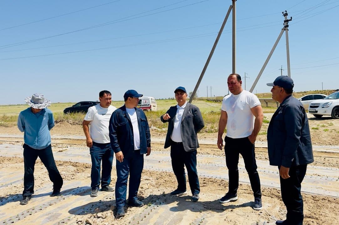 Qashqadaryoda prezident qarori ijrosi amalda: Mas’ullar hududlardagi ishlar bilan tanishdi