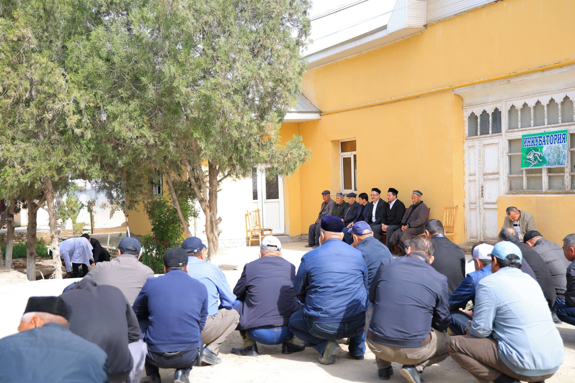 Pillachilik mavsumi izchil davom etmoqda