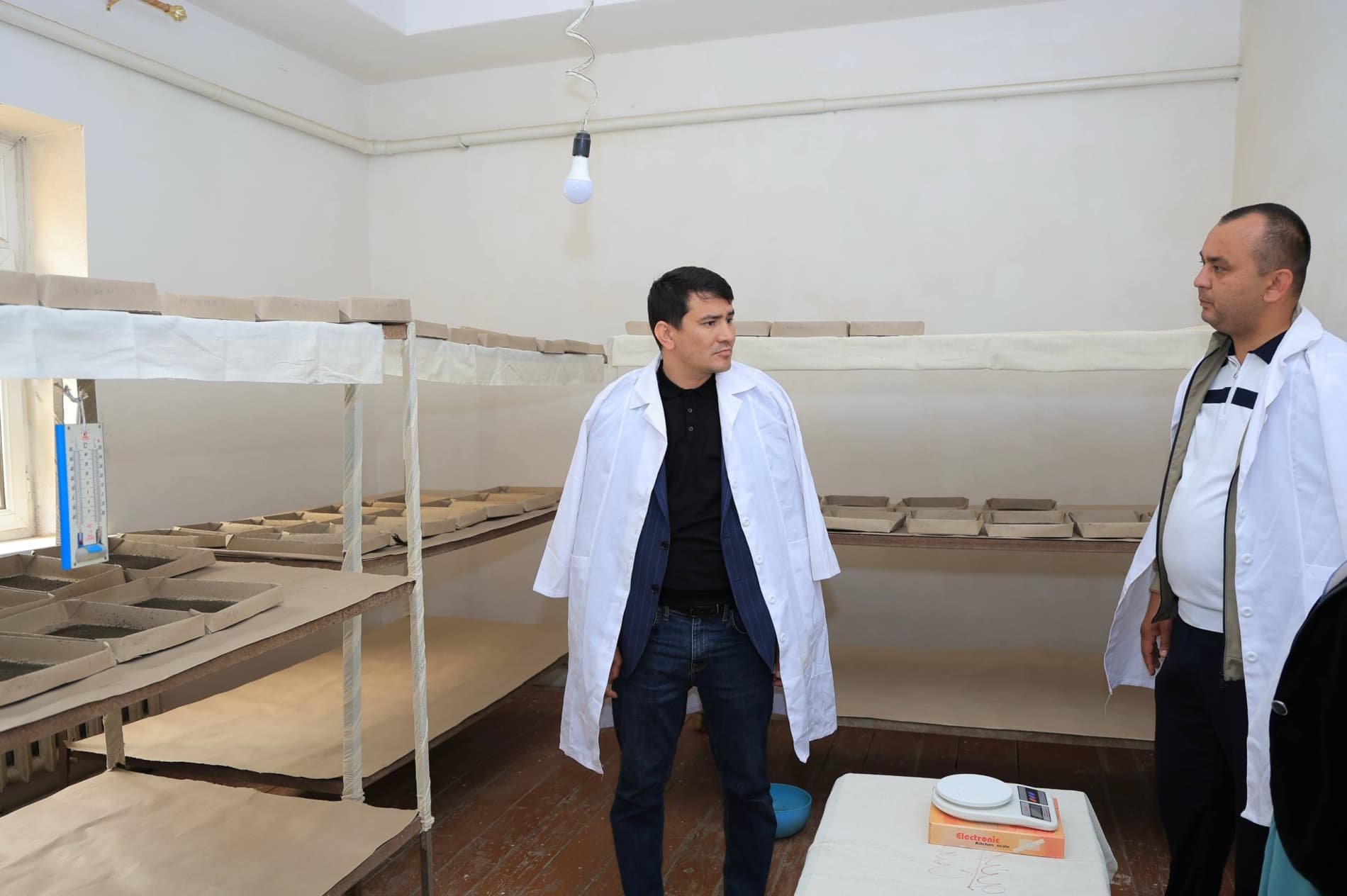 Pillachilik mavsumi izchil davom etmoqda