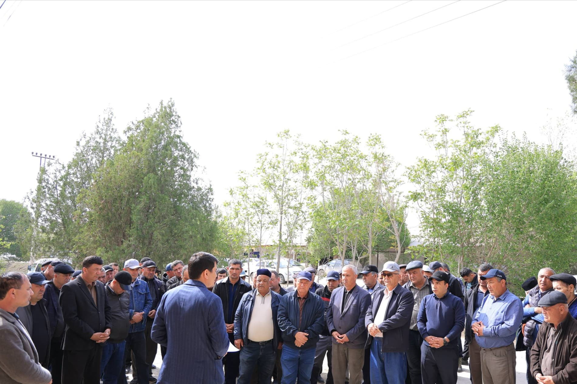 Pillachilik mavsumi izchil davom etmoqda