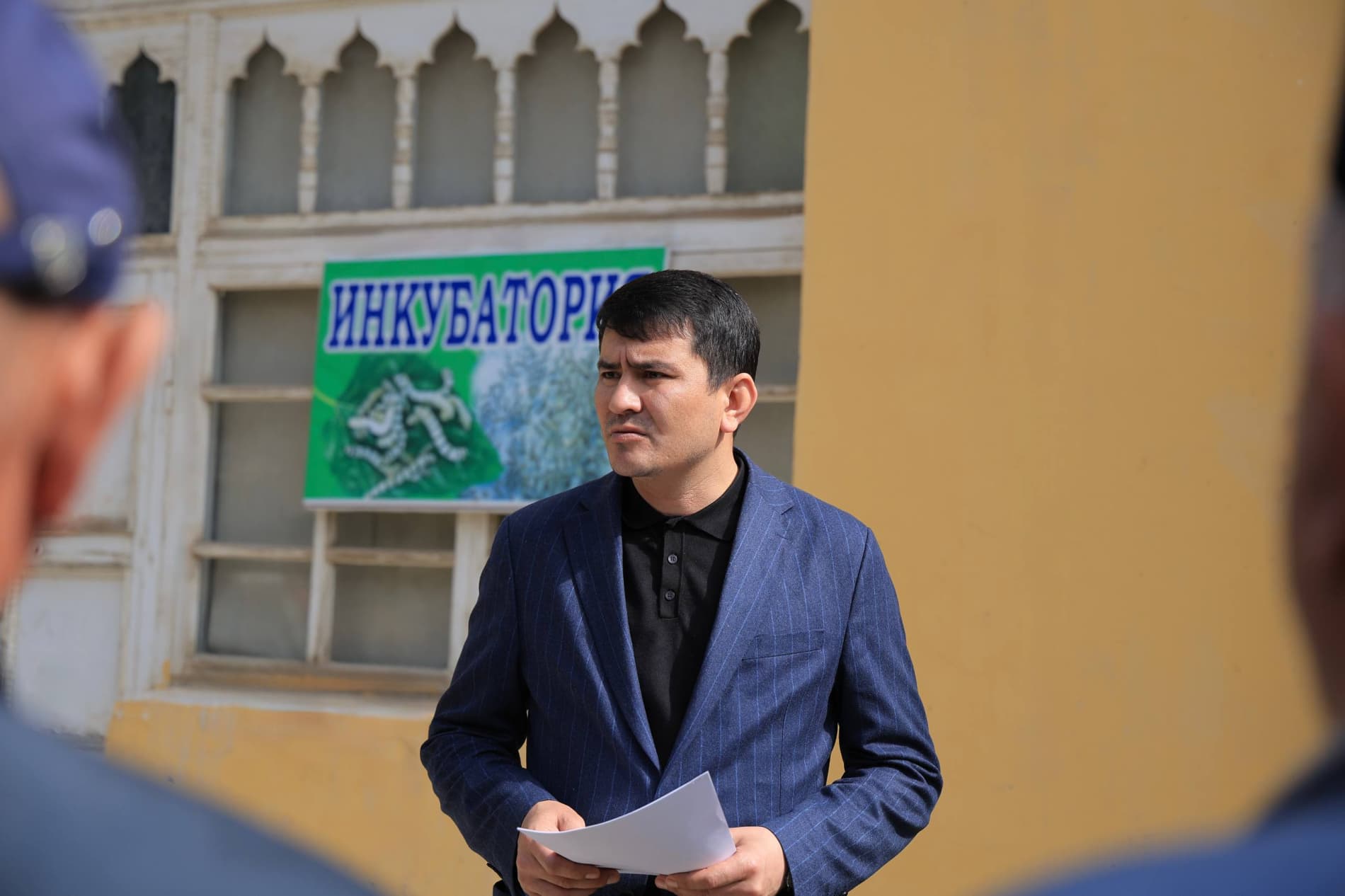 Pillachilik mavsumi izchil davom etmoqda