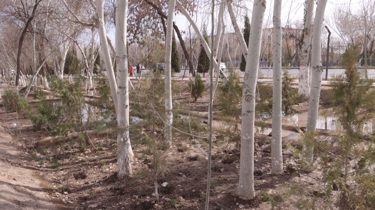 The “Zarbdor Model” in Nukus: A Paradigm Shift in Grassroots Urban Transformation