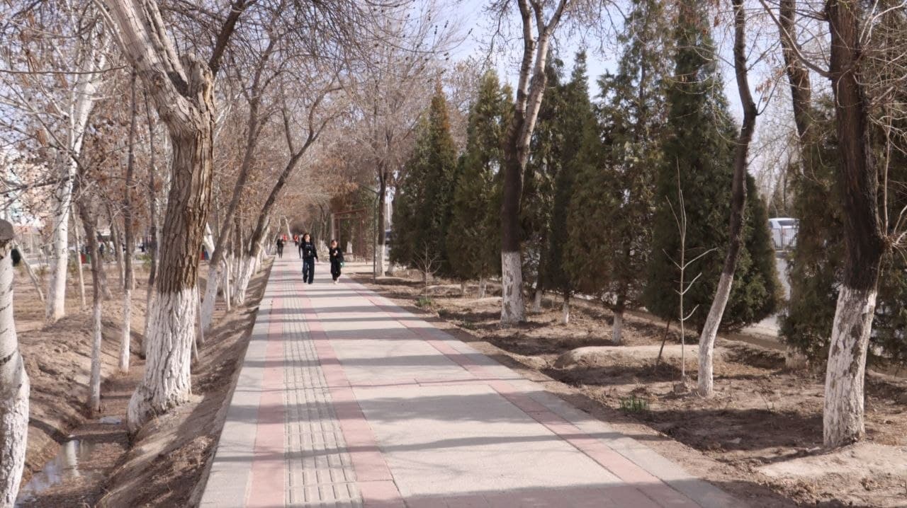 The “Zarbdor Model” in Nukus: A Paradigm Shift in Grassroots Urban Transformation