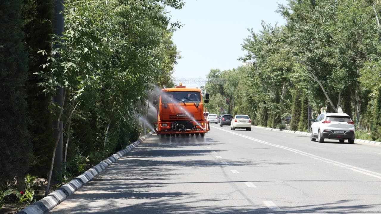 Nukus in the embrace of greenery: the "Breathe into the Tree!" campaign is breathing new life into our city!