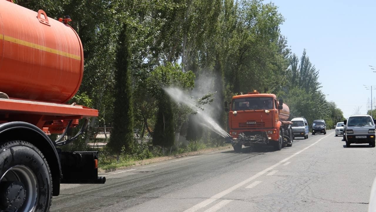 Nukus in the embrace of greenery: the "Breathe into the Tree!" campaign is breathing new life into our city!
