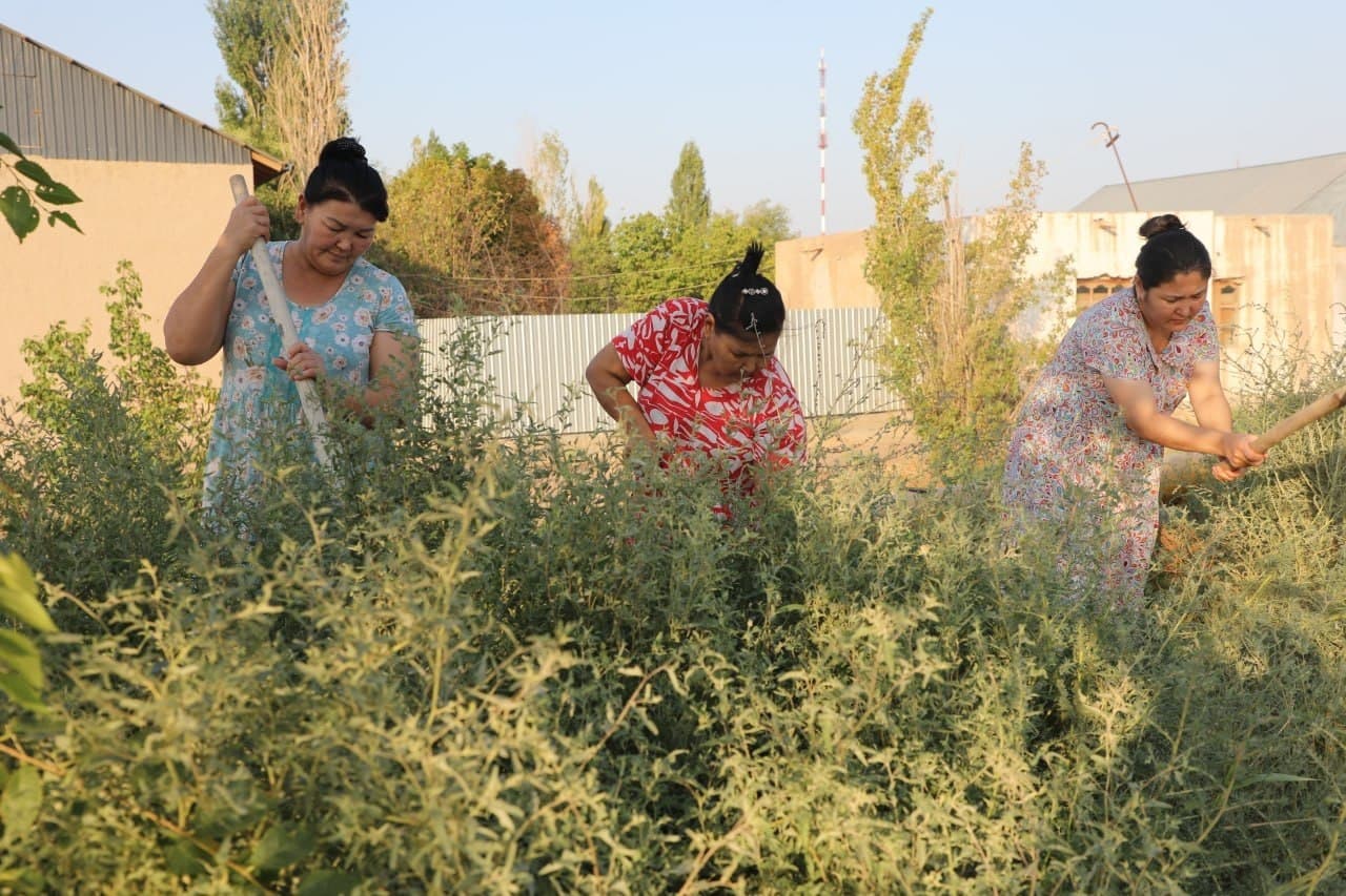Preparations for Independence Day are continuing across our country with high spirits and great enthusiasm. Improvement measures are being consistently implemented to further beautify our city, expand green spaces, and provide the population with a festiv